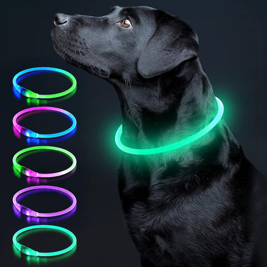 Illuminate Your Dog's Safety with Our LED Glow Collar - USB Rechargeable, Adjustable Fit for All Breeds in Vibrant Cyan