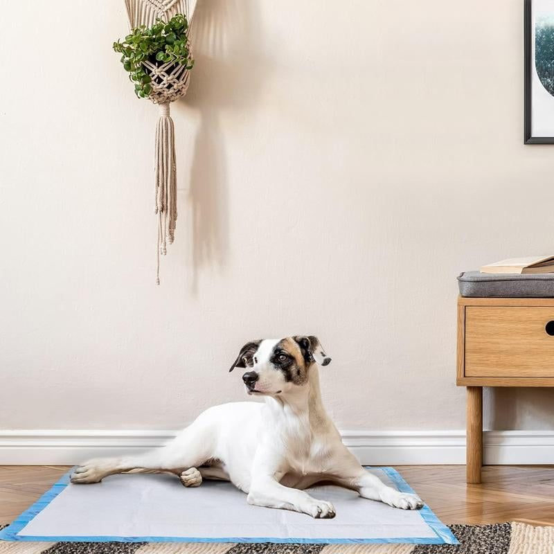 Super Absorbent 24"X24" Large Dog Training & Puppy Pads - 40 Count Leak-Proof Solution