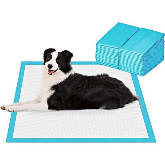 Super Absorbent 24"X24" Large Dog Training & Puppy Pads - 40 Count Leak-Proof Solution