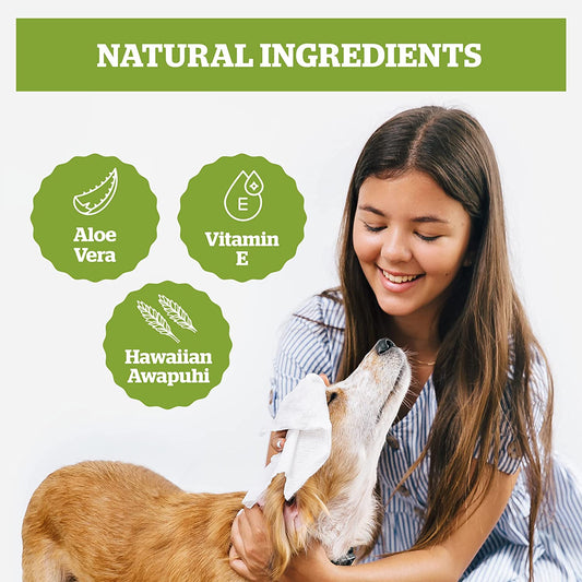 Pogi's Hypoallergenic Dog Grooming Wipes – 400 Count for Paws, Body & Butt – Gentle, Fragrance-Free Cleaning & Hydrating Solution