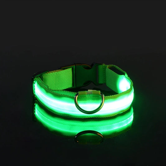 Glow in the Dark Nylon LED Dog Leash and Collar - Enhanced Night Safety for Your Pet